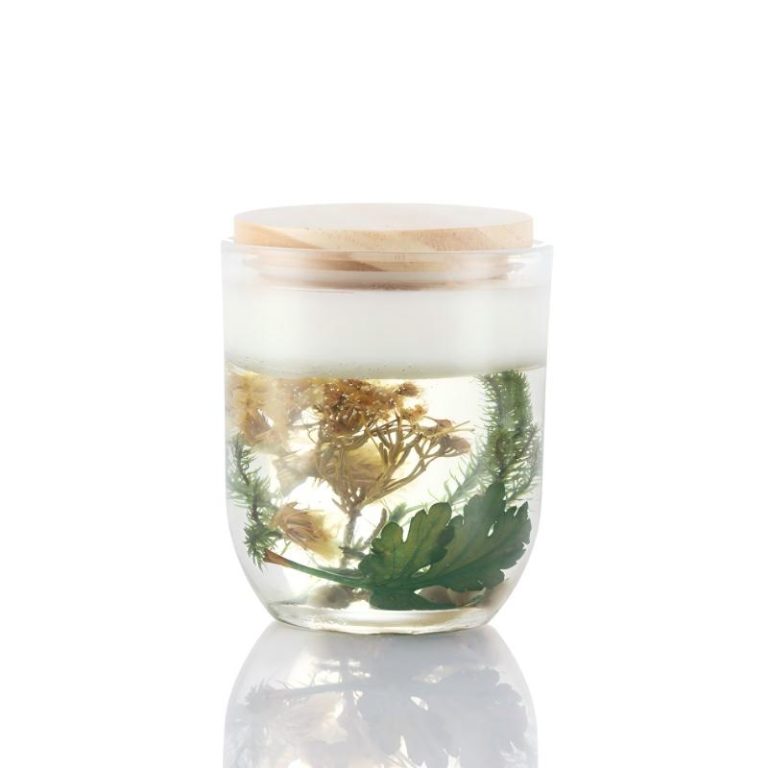 Botanical Gel Candle | Floral-Herb-Woody – iColor OEM Transparent Scented Candle