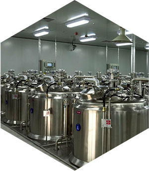 GMP iColor Cosmetics