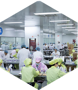 GMP  iColor Cosmetics