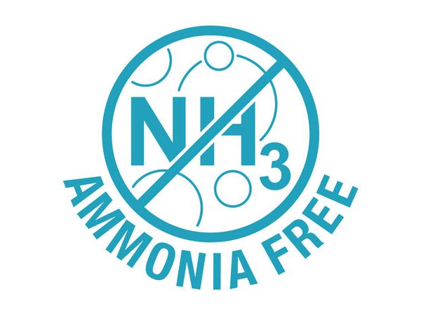 Do You Offer Ammonia-Free Hair Dye Formulas