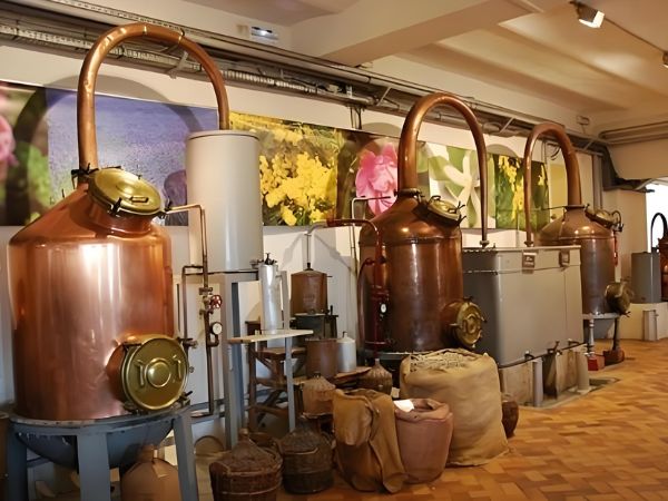 Do You Offer Tiered Discounts for Large Perfume Orders